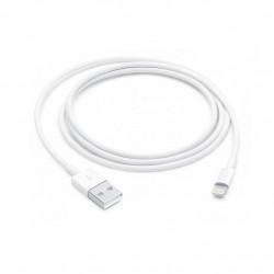 Câble Lightning vers USB (1 m)